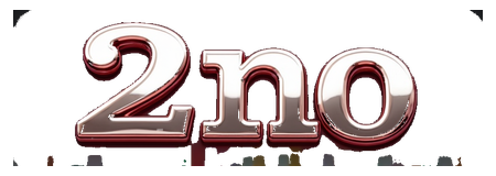 2no logo